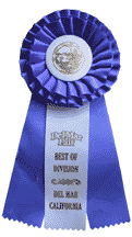 blue ribbon